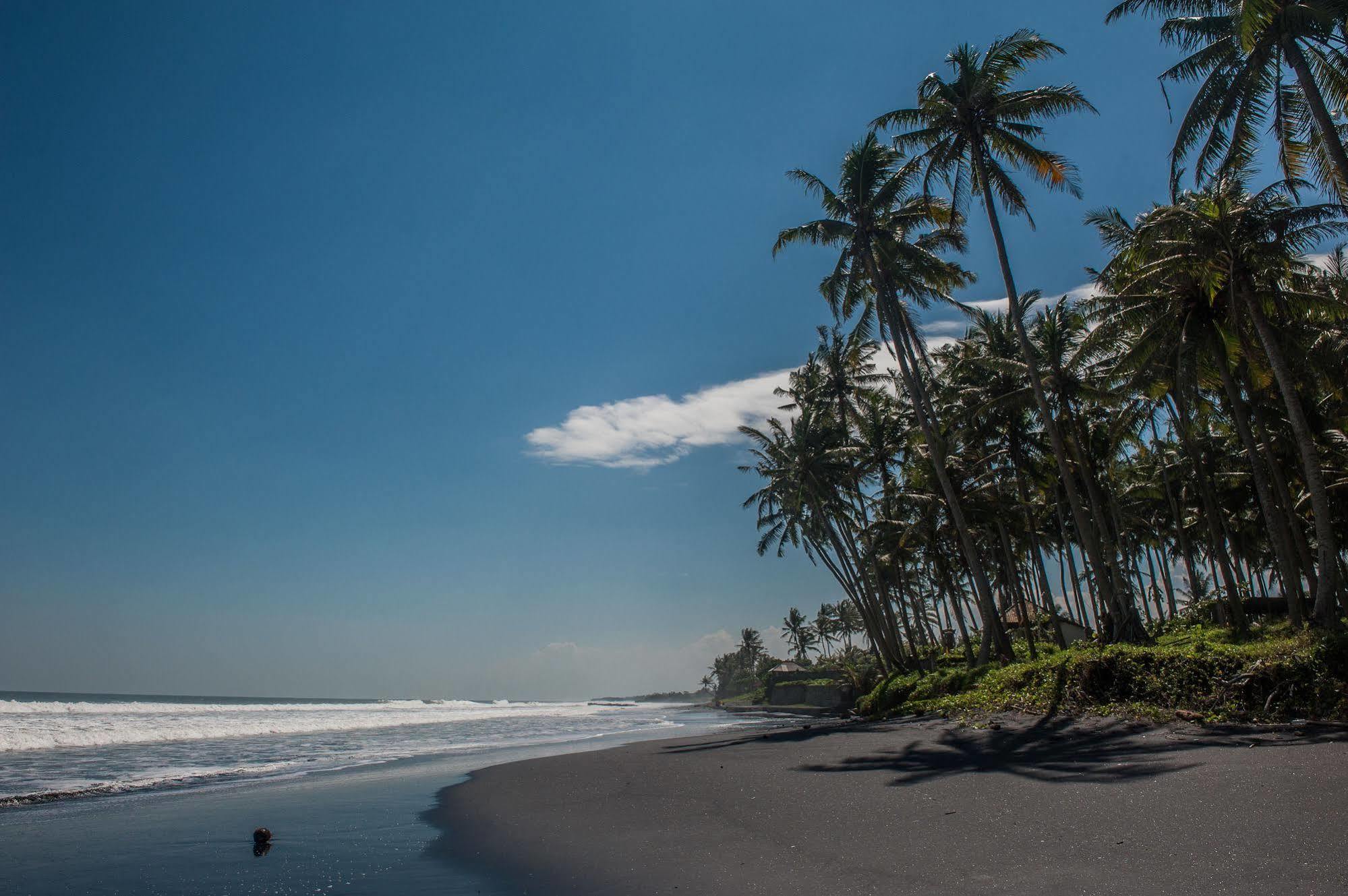 Most Exotic Beachfront Villa Keong Selemadeg 외부 사진
